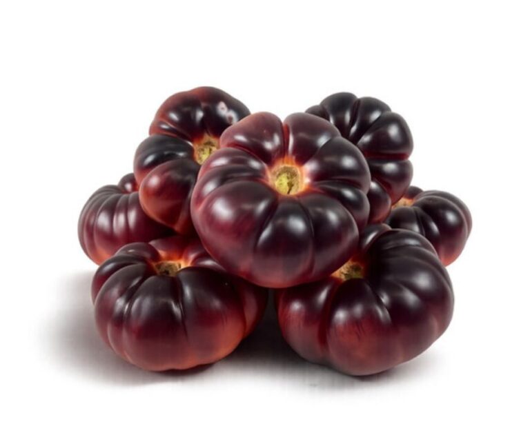 Νέα βιολογική ποικιλία μωβ τομάτας από την Veg-Fresh