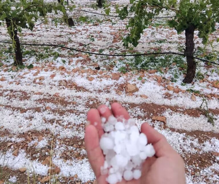 Ιταλία: Μεγάλες καταστροφές σε καλλιέργειες λόγω χαλαζόπτωσης   