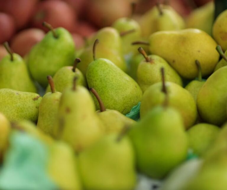 Prognosfruit 2026: Όλα τα στατιστικά στοιχεία για τα αχλάδια της νέας σεζόν