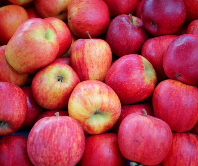 Prognosfruit 2026: Όλα τα στατιστικά στοιχεία για τα μήλα της νέας σεζόν