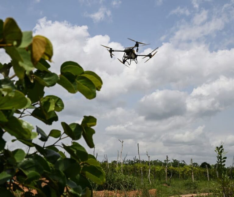 Νάουσα: Ημερίδα για την χρήση των drones και την  εξαπόλυση στείρων εντόμων
