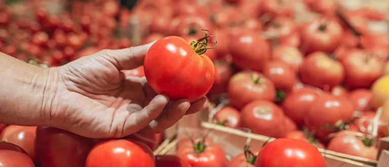 Τομάτα: Μειωμένη κατά 4% η παραγωγή στη Γαλλία