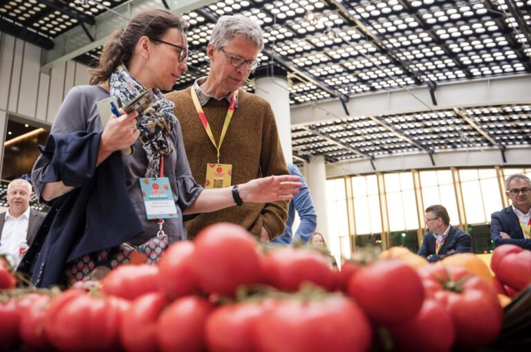 Στη Γρανάδα το Fruitnet Tomato Congress στις 5 και 6 Νοεμβρίου
